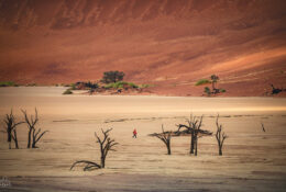 Namibia_August (119/135)
